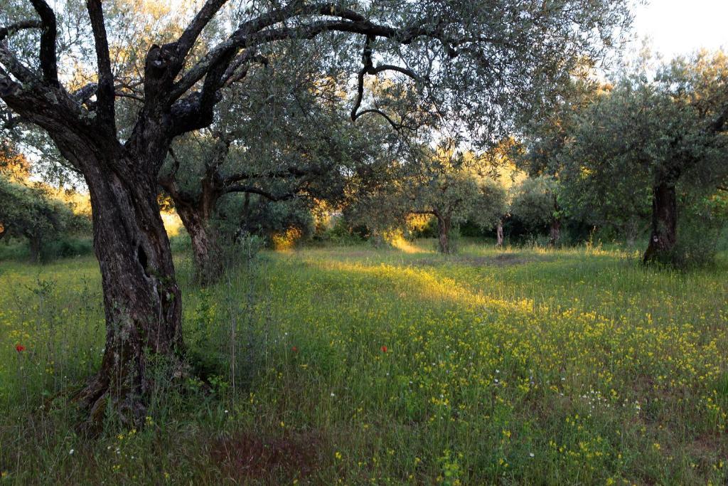 Hotel Restaurant Le Gardon - Pont Du Gard Collias ภายนอก รูปภาพ